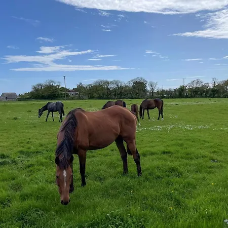 Feriehus Sweetbriar By Trident Homes *