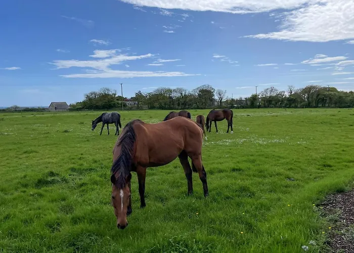 Feriehus Sweetbriar By Trident Homes *